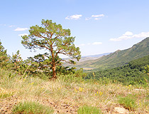 Eastern Kazakhstan oblast nature