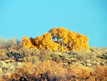 Karaganda oblast view