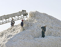 Kazakhstan agriculture - cotton