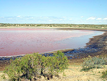 Kyzylorda oblast lake view