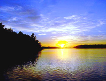 Pavlodar oblast nature view