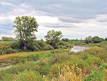 West Kazakhstan oblast nature view