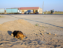 Zhambyl oblast, Kazakhstan view